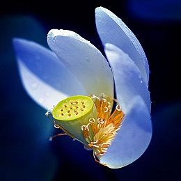 《小偷模拟器2》更新路线图公布 明年上线新游戏+模式